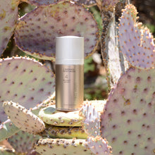 Load image into Gallery viewer, C Radiance Moisturizer 15ml photographed on a Prickly Pear Cactus. Product is by Mikel Kristi Skincare, based in the Arizona desert. This product is Step 4: Balance, and comes in a 15ml airless pump bottle with metallic sand colored label.
