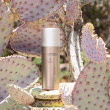 Load image into Gallery viewer, C Radiance Moisturizer 30ml photographed on a Prickly Pear Cactus. Product is by Mikel Kristi Skincare, based in the Arizona desert. This product is Step 4: Balance, and comes in a 30ml airless pump bottle with metallic sand colored label.
