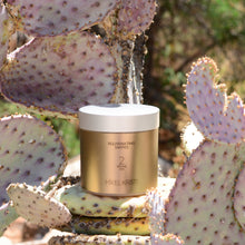 Load image into Gallery viewer, Rejuvenating Swipes 50 count. Photographed on a Prickly Pear Cactus. Product is by Mikel Kristi Skincare, based in the Arizona desert. This product is Step 2: Refine, and comes in a air sealed jar with screw on lid with metallic gold colored label.

